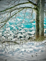 Ronald Harte, Ice Blue, 2021, Photograph, 20x30 inches, framed